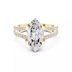 Pavé Split Shank Ring - Marquise